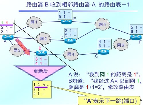 計算機網(wǎng)絡(luò)層設(shè)計 構(gòu)建高效可靠的信息傳輸框架